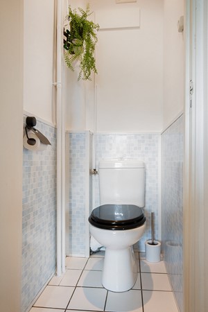 Langswater 831   31.jpg